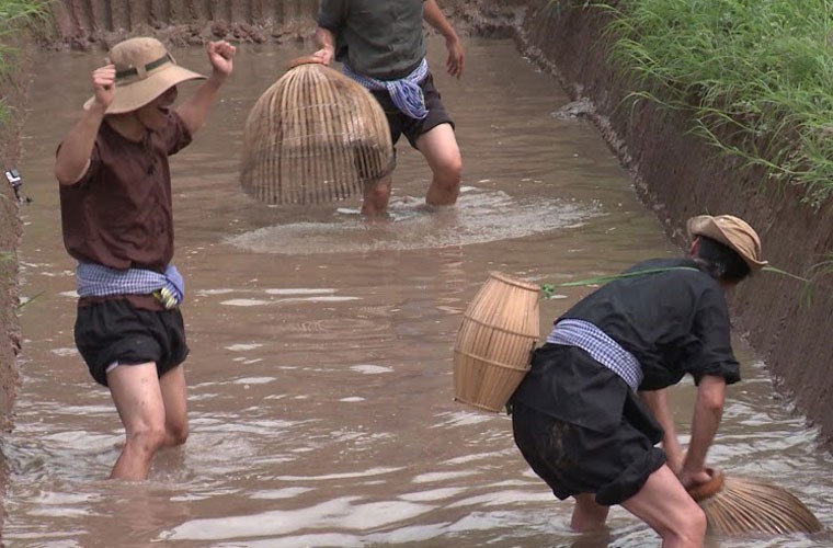 Tran Luc, MC Phan Anh loi dam bat ca bang nom-Hinh-9